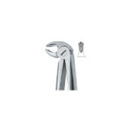 Lower Molars ,Universal 22