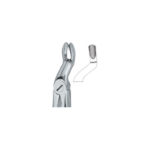 Third Molars 67 A