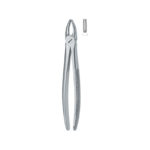 Incisors And Bicuspids 1