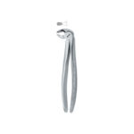 Molars 22