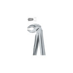Molars 22