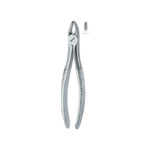 Incisors And Bicuspids 37