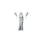 Molars , Right 39R